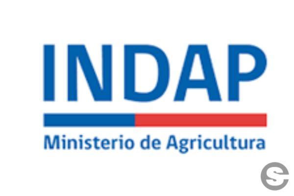 🇨🇱Emprende en el agro con INDAP.