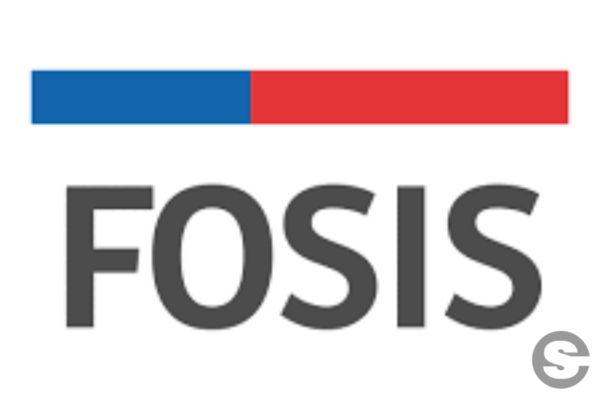 🇨🇱Impulsa tu negocio con FOSIS.