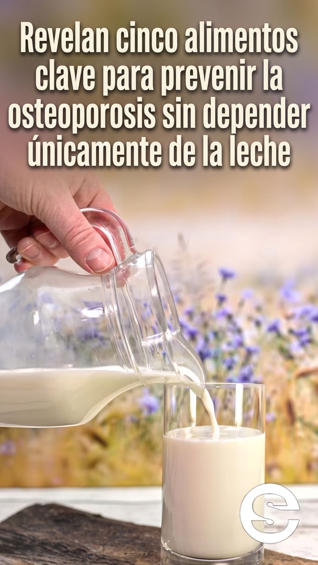 🇦🇷🧘 Nutricion osea cinco alimentos para prevenir la osteoporosis sin depender solo de la leche 🍎.