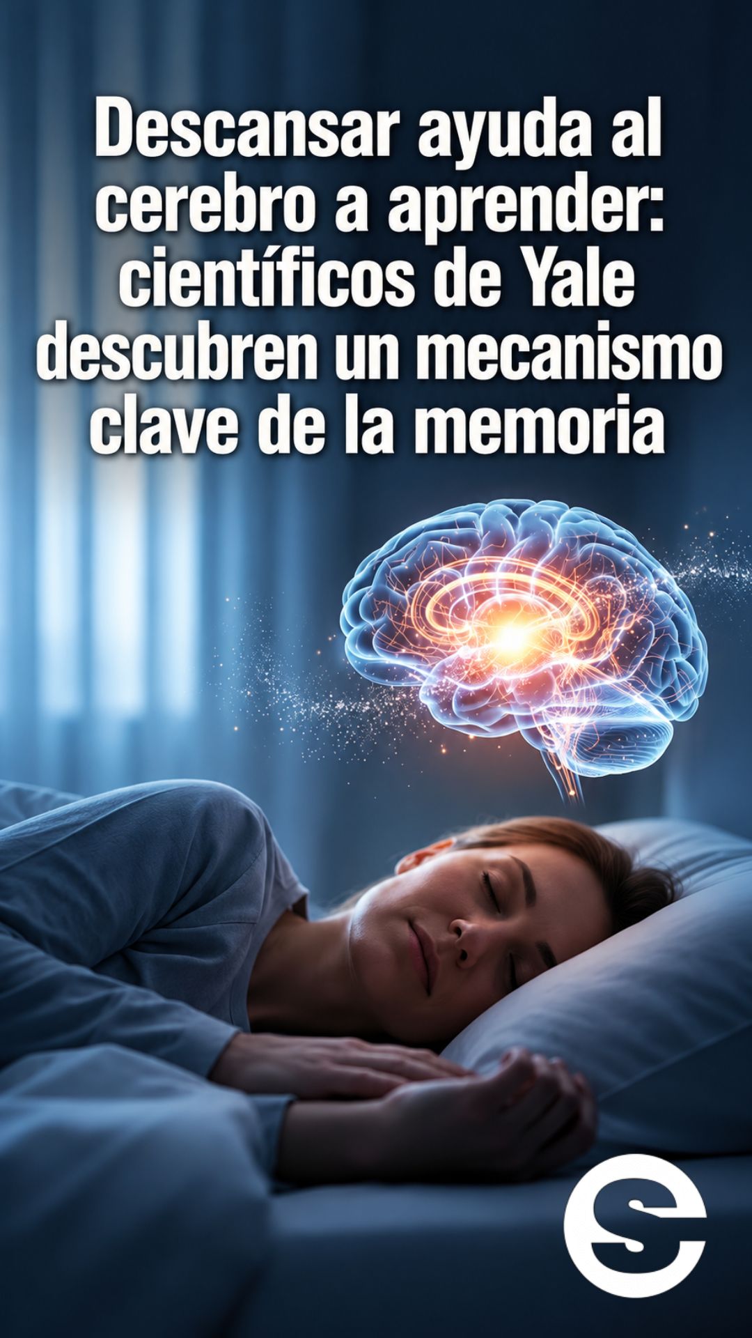 🌐 🧘 🩺 Descansar ayuda al cerebro a aprender: científicos de Yale descubren un mecanismo clave de la memoria.