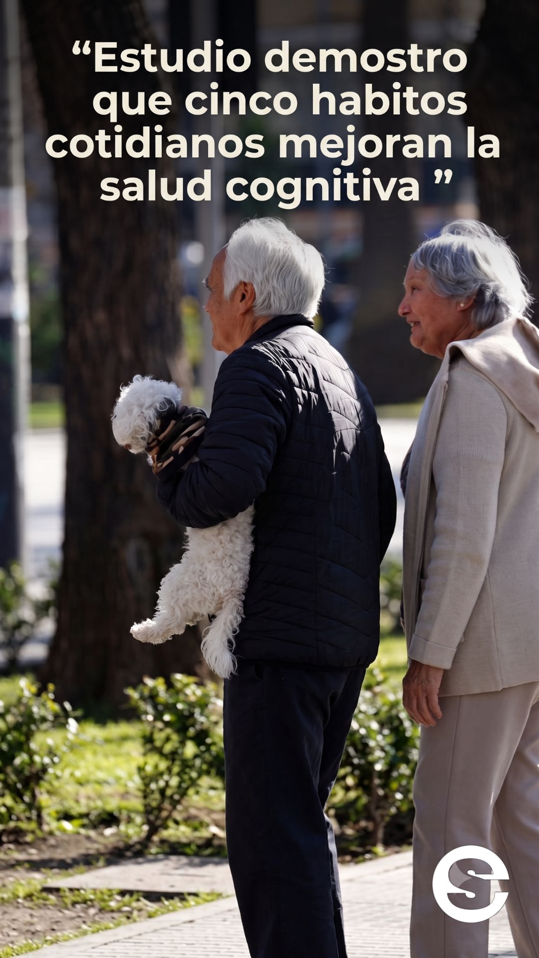 🇨🇱🧘 Estudio demostro que cinco habitos cotidianos mejoran la salud cognitiva 💡.