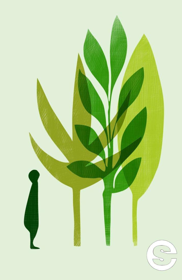 🇨🇱🧘 Caminatas saludables en el Jardín Botánico de la UACh 🏋️.