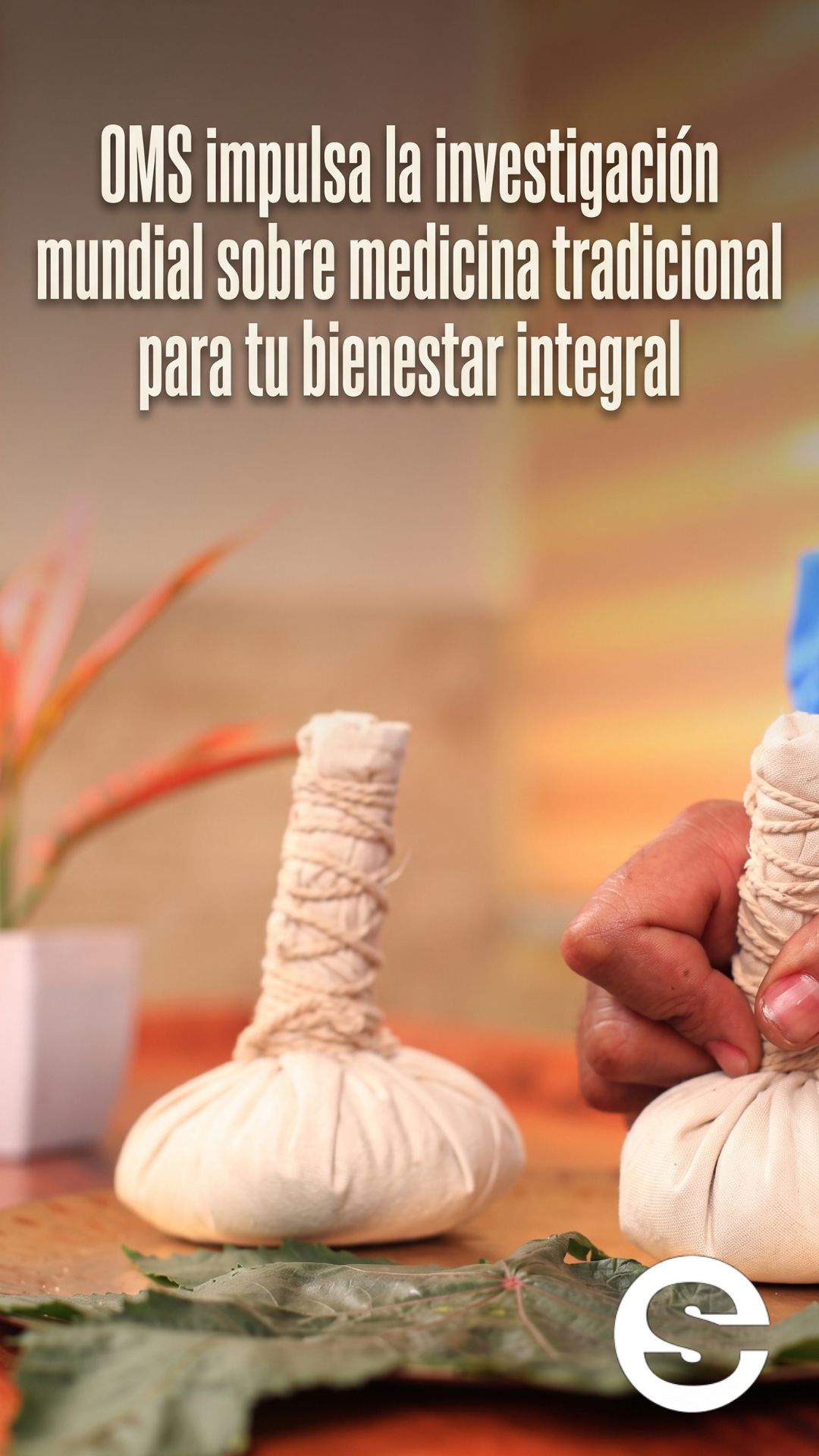 🌐🧘 Medicina tradicional: la OMS impulsa la investigación global 🩺.