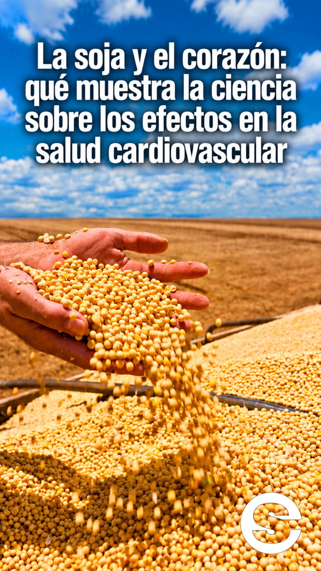 🌐 🧘 🍎 ¿La soja protege el corazón? Qué dice la ciencia sobre el tofu, el colesterol y la salud cardiovascular.