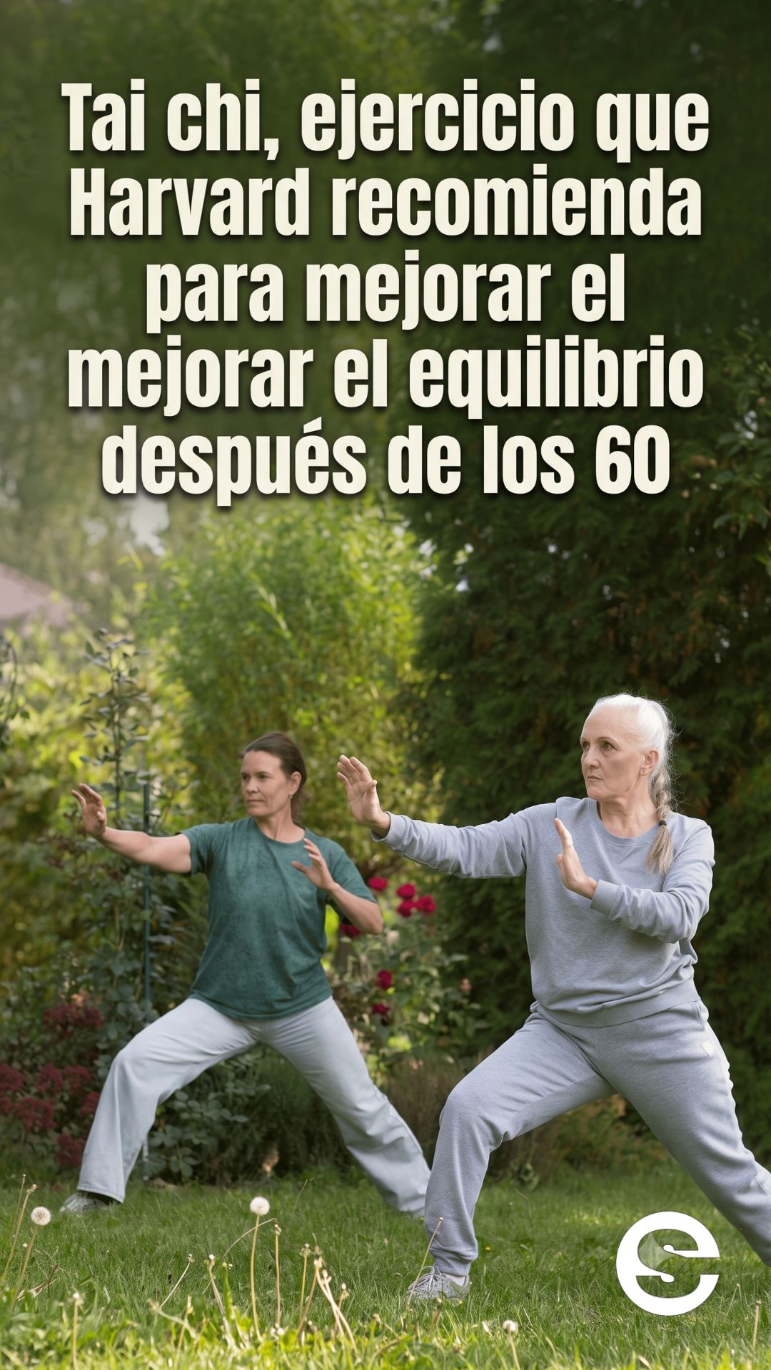 🌐🧘 Tai chi, el ejercicio que Harvard recomienda para mejorar el equilibrio después de los 60 🏋️.