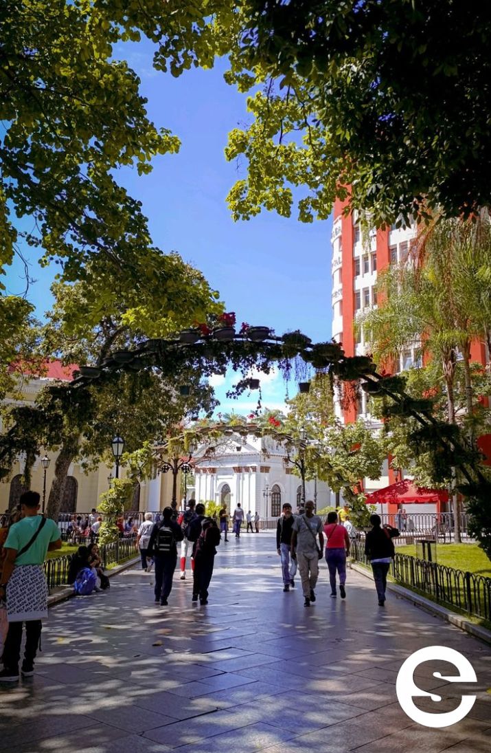 🇻🇪🕊 Cultura Chacao: 'Arte en la Calle' Programación Enero 2026 🗣.