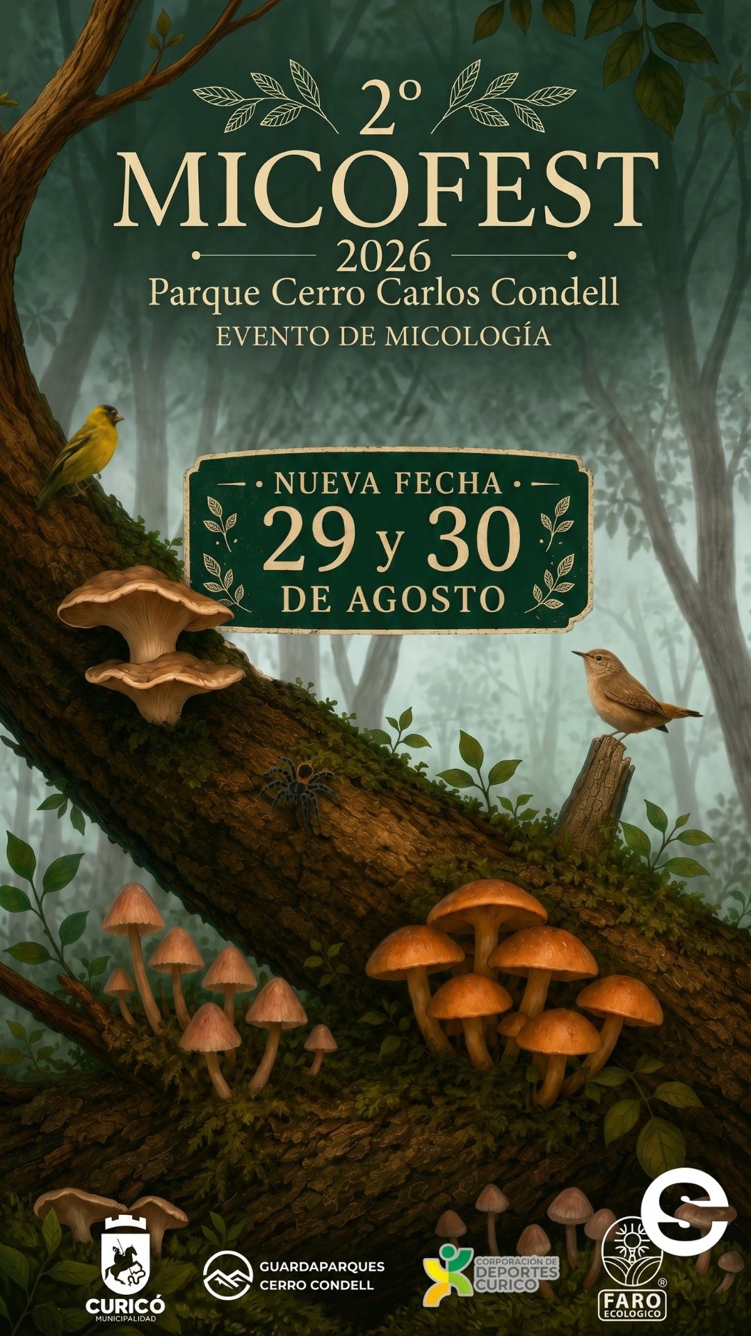 🇨🇱🎡 Micofest 2026 en Curicó: Celebra el fascinante mundo de los hongos 🎟.