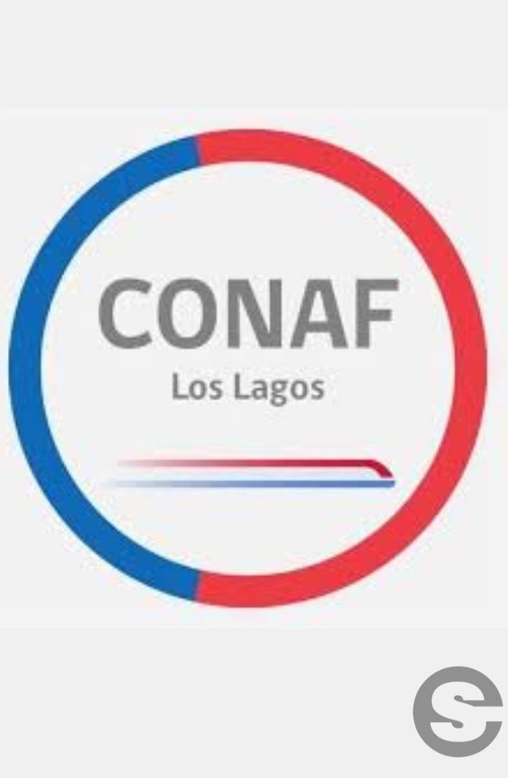 🇨🇱🎡 Sendero Inclusivo Bosque de las Sombras en Puyehue 🎟.