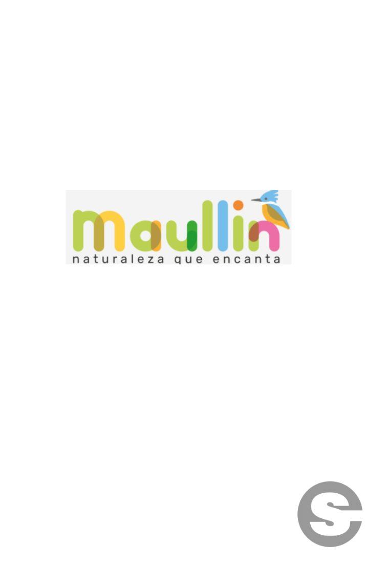 🇨🇱🎡 Ruta de los Humedales de Maullín (Los Lagos) 🏔.