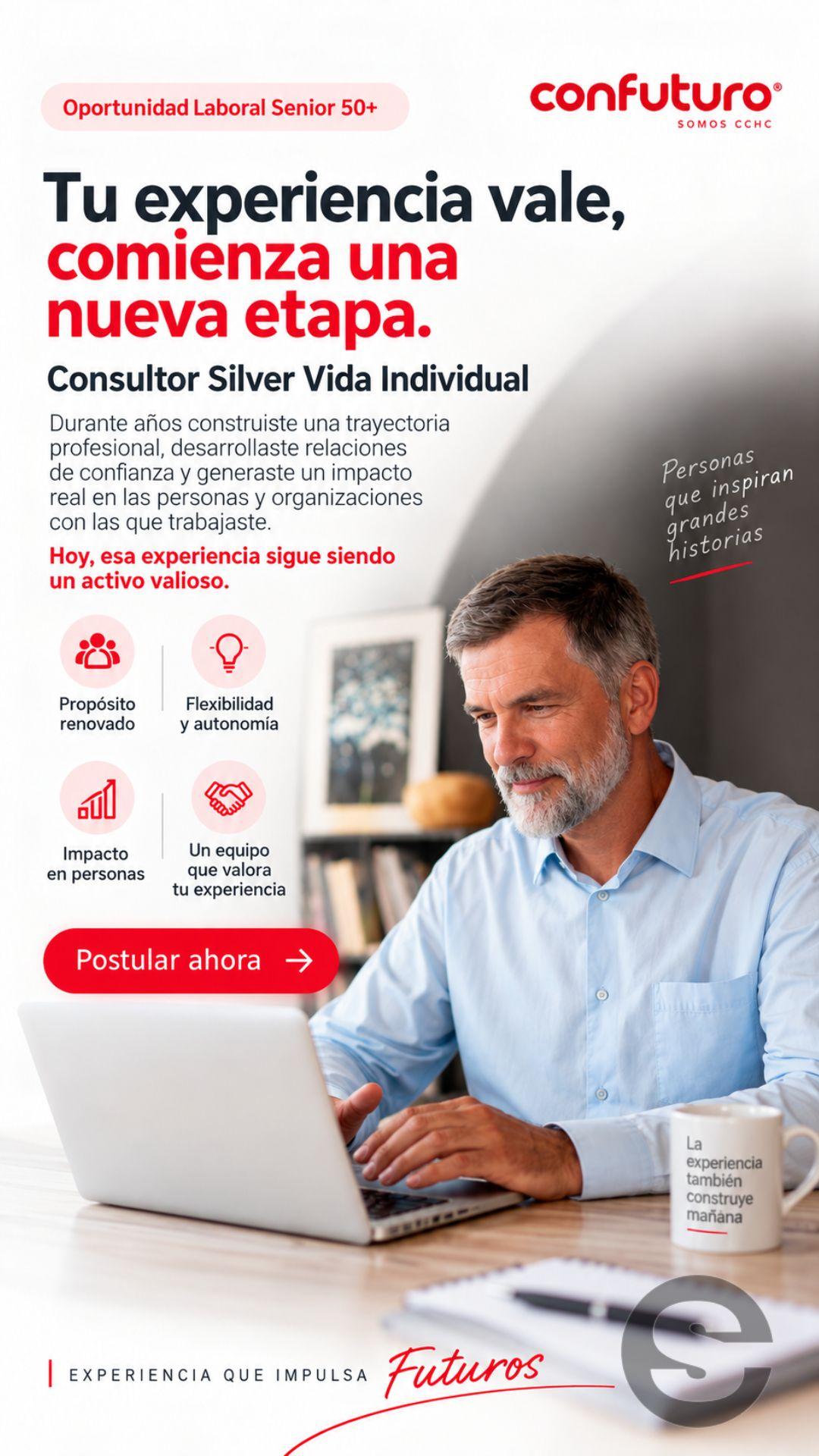 🇨🇱💼 Consultor Silver 💻.