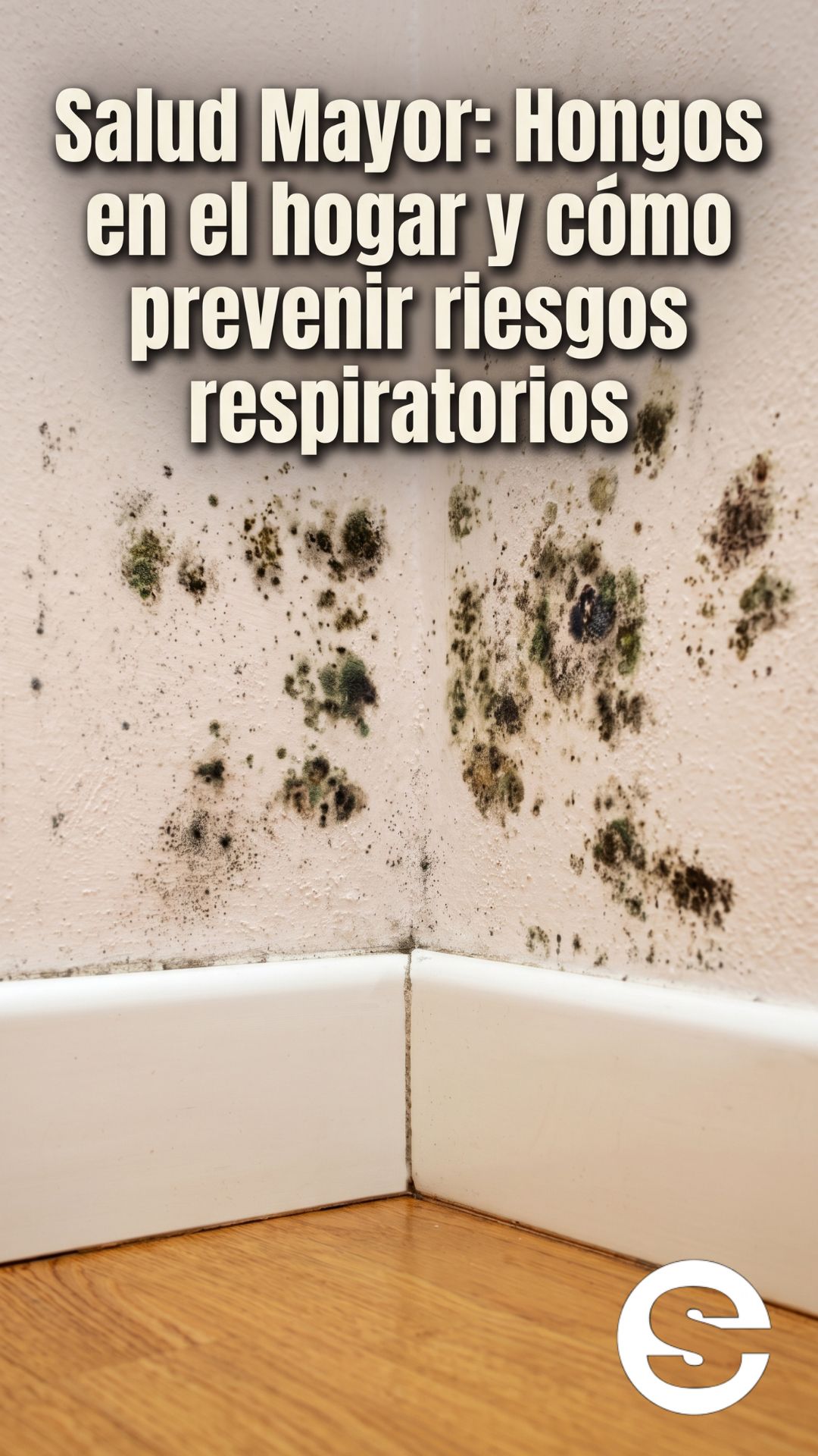 🇨🇱🏠 Hongos en el hogar cuando pueden convertirse en un riesgo para la salud 🔒.