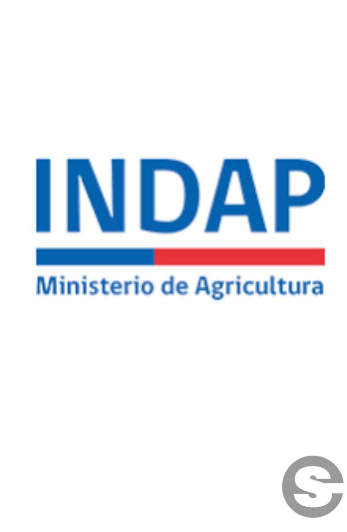 🇨🇱🧘 Actividad Física IND: Talleres gratuitos en plazas y estadios 🏋️.