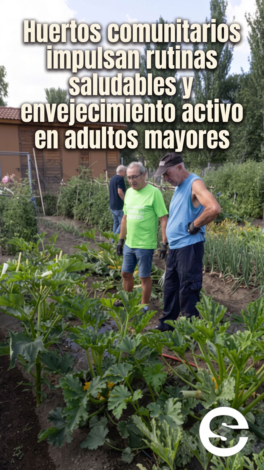 🇨🇱🕊 Huertos comunitarios impulsan rutinas saludables y envejecimiento activo en adultos mayores 🗣.