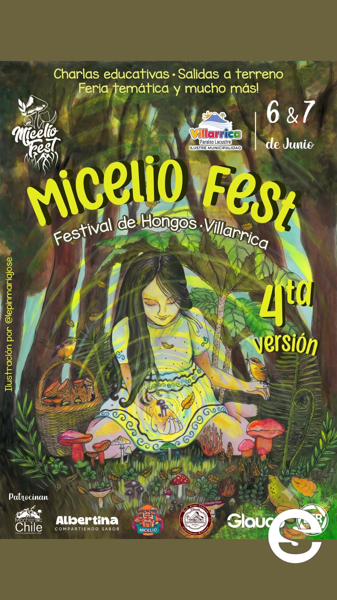 🇨🇱🎡 Micelio Fest 2026: El festival fungi de Villarrica invita a conectarse con la naturaleza 🎟.