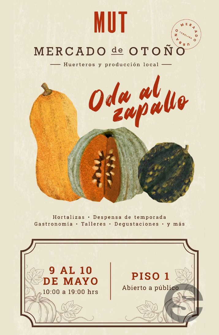 🇨🇱🎡 Mercado de Otoño en MUT: Oda al Zapallo 9 y 10 de mayo 🎟.