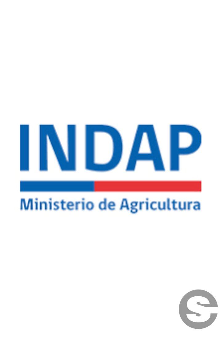 🇨🇱📈 Indap Los Lagos abre concursos de riego ⚡.