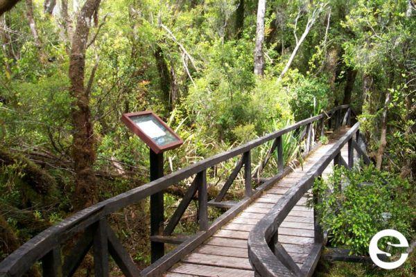 🇨🇱Acceso gratuito a Parque Nacional Chiloé (Cucao)-Los Lagos.