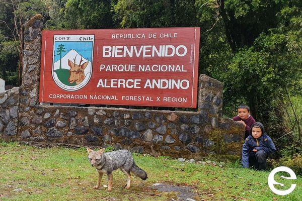 🇨🇱Acceso gratuito a Parque Nacional Alerce Andino-Los Lagos.